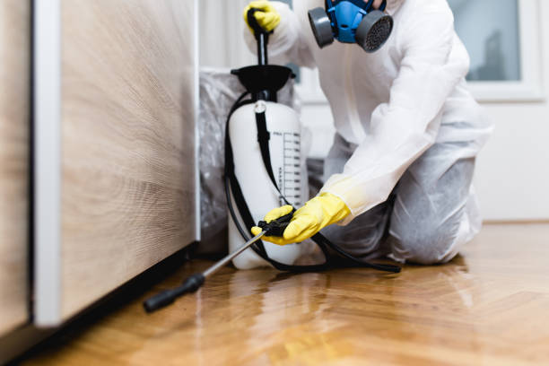 Best Pest Control for Businesses  in Black Diamond, FL