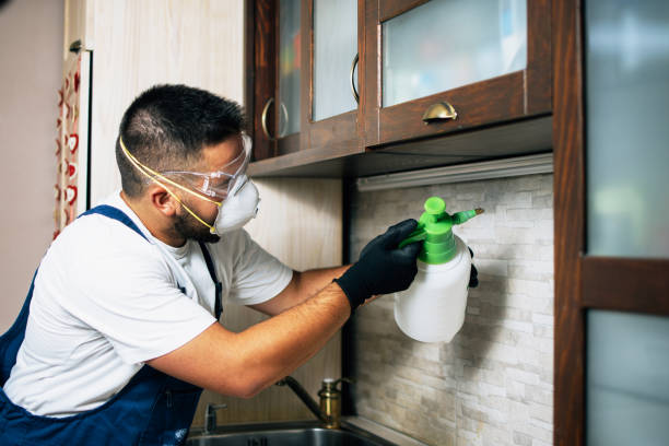 Best Emergency Pest Control  in Black Diamond, FL