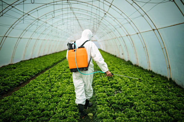 Best Pest Removal Services  in Black Diamond, FL
