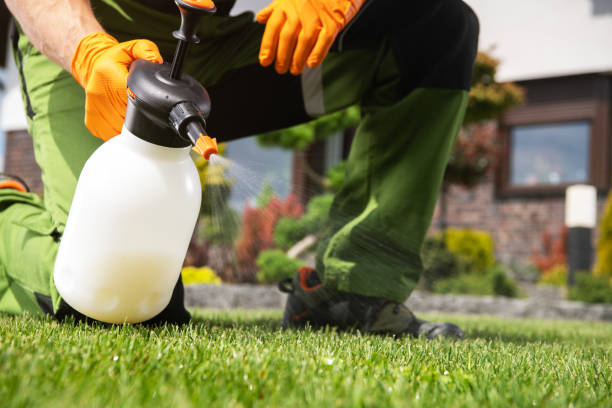 Pest Control for Restaurants in Black Diamond, FL