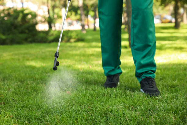 Best Rat Extermination Near Me  in Black Diamond, FL
