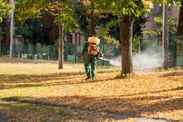 Best Best Pest Control Companies  in Black Diamond, FL